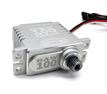 Load image into Gallery viewer, REEFS134 RAW 100 MINI SERVO