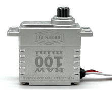 Load image into Gallery viewer, REEFS134 RAW 100 MINI SERVO