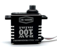 Load image into Gallery viewer, REEFS135 RAW 100 MINI BLACK SERVO