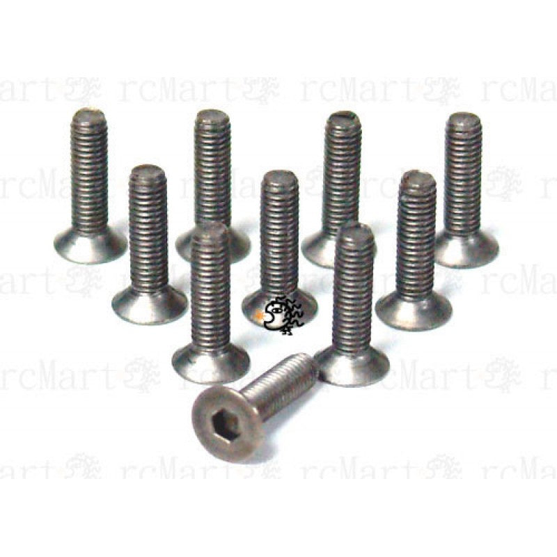 BHF-312 3X12MM FLATHEAD TITANIUM SCREWS