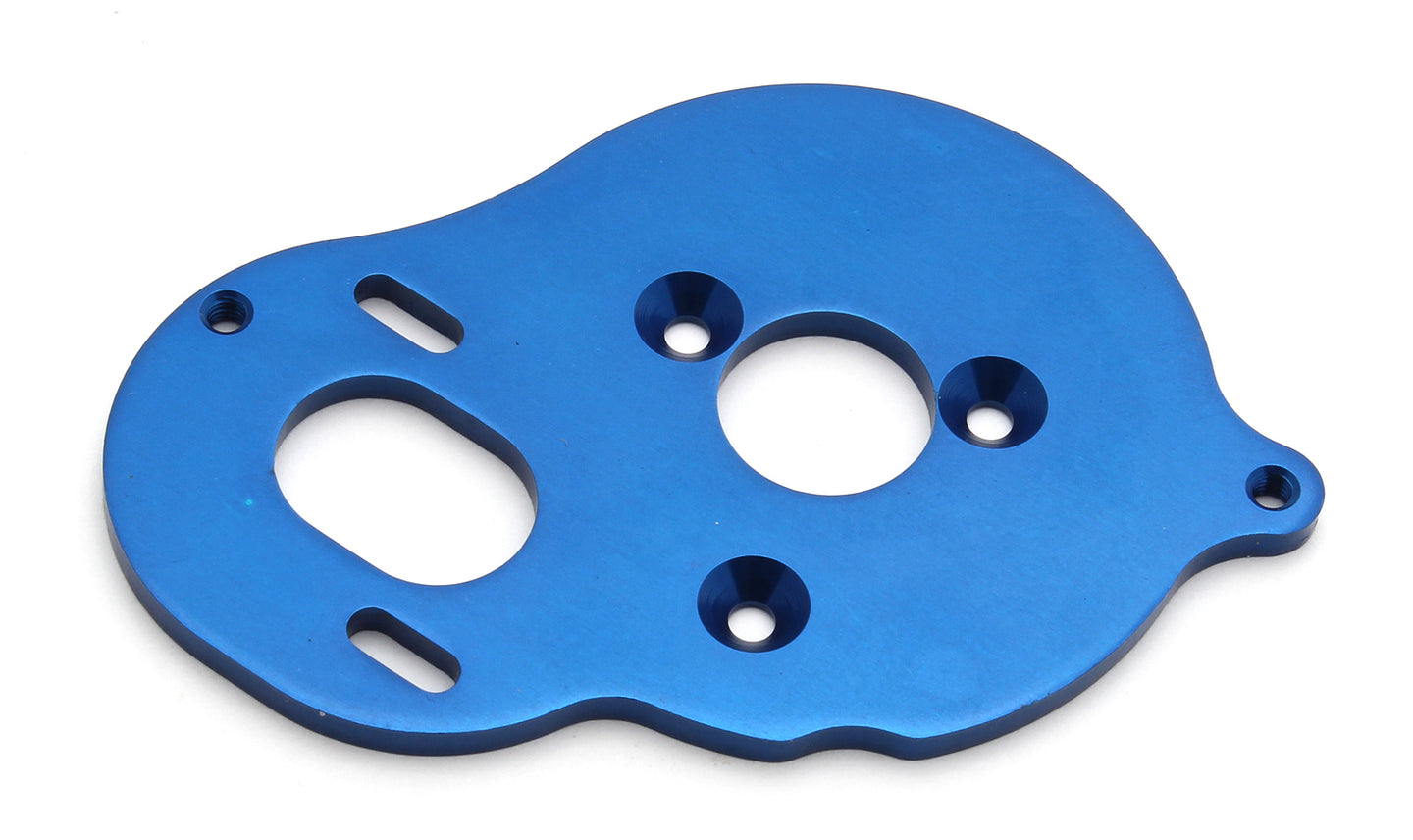 91428 MOTOR PLATE (BLUE) B5